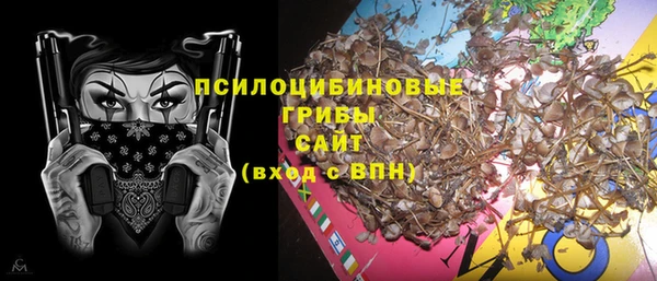 героин Алексин