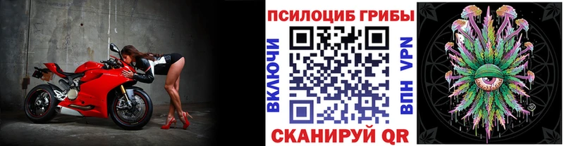 Галлюциногенные грибы мицелий  Бийск 